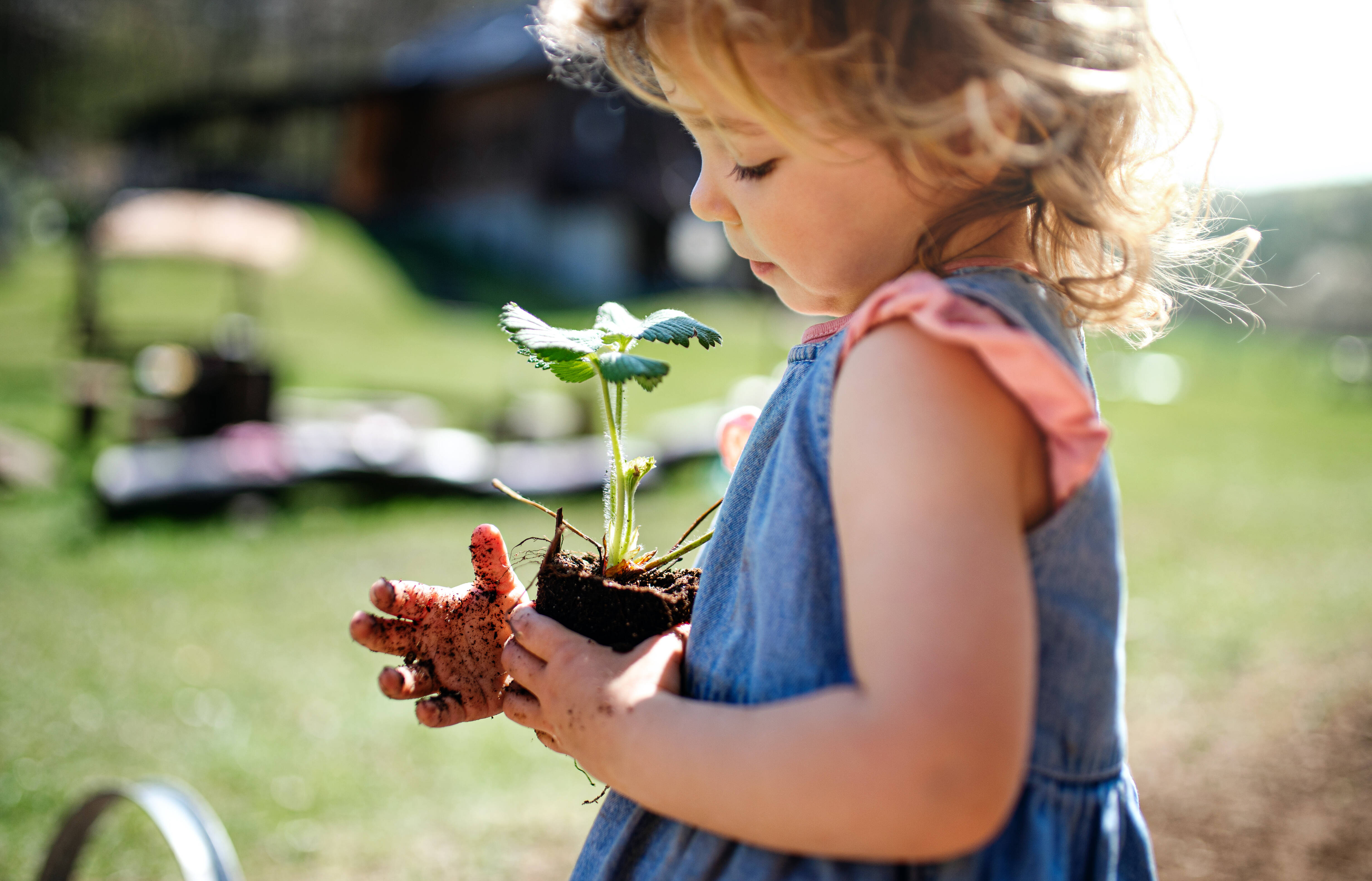 Sustentabilidade e responsabilidade